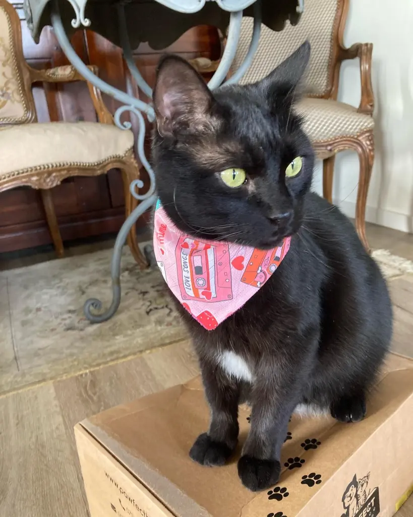 Image from Tamino