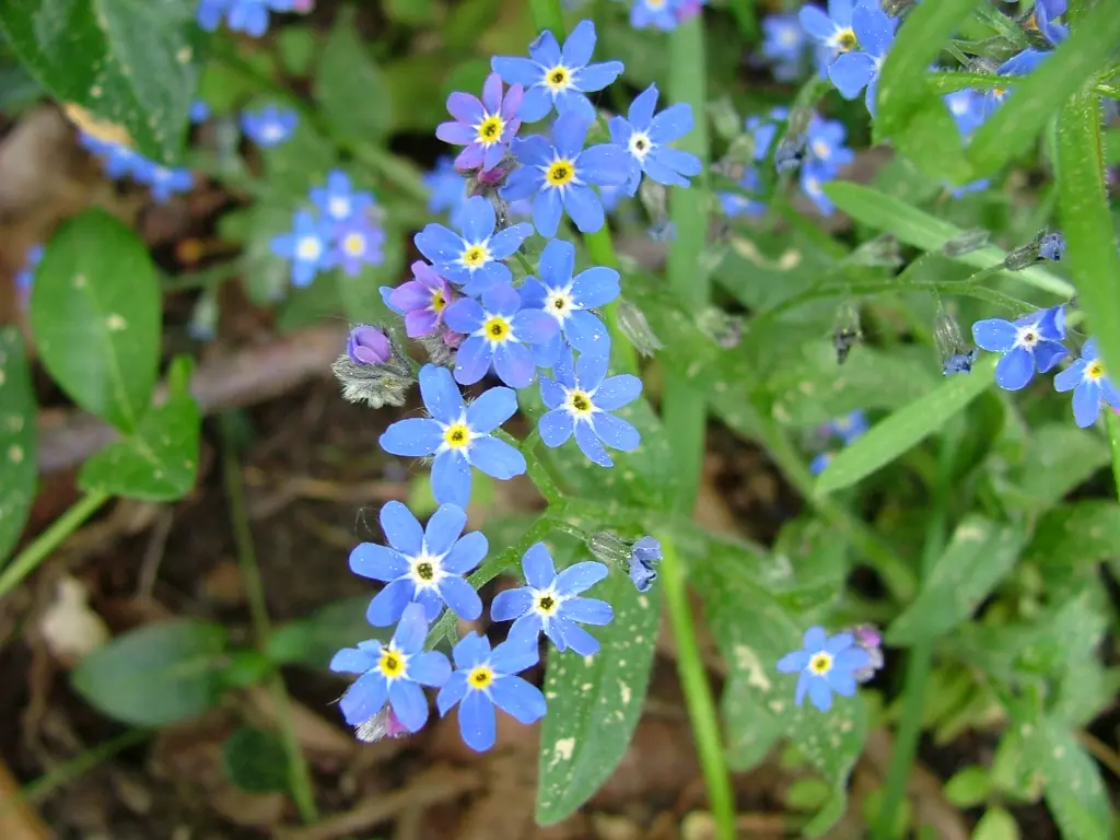 Condolence image of Unbekannt