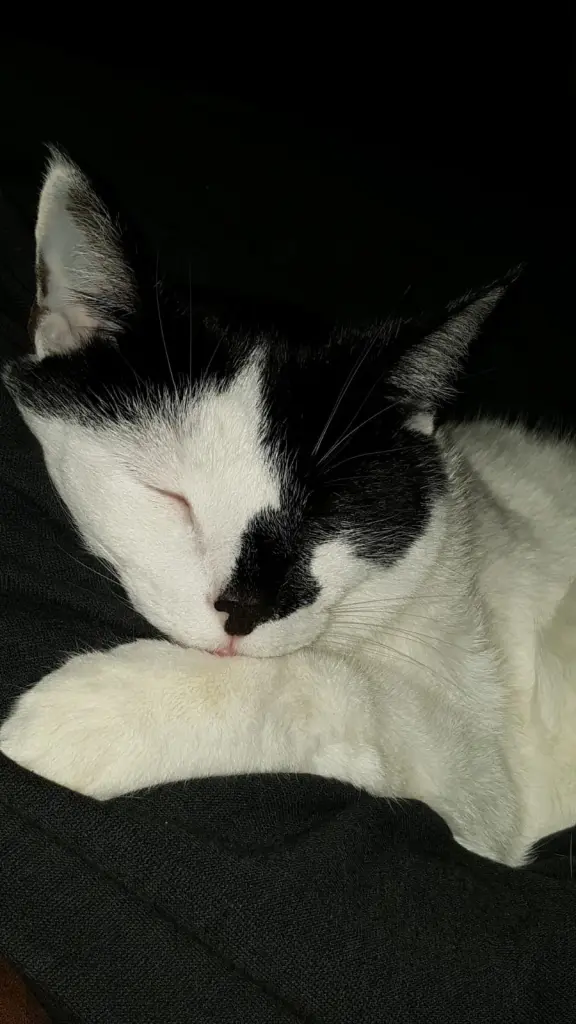 Image from Beaker 