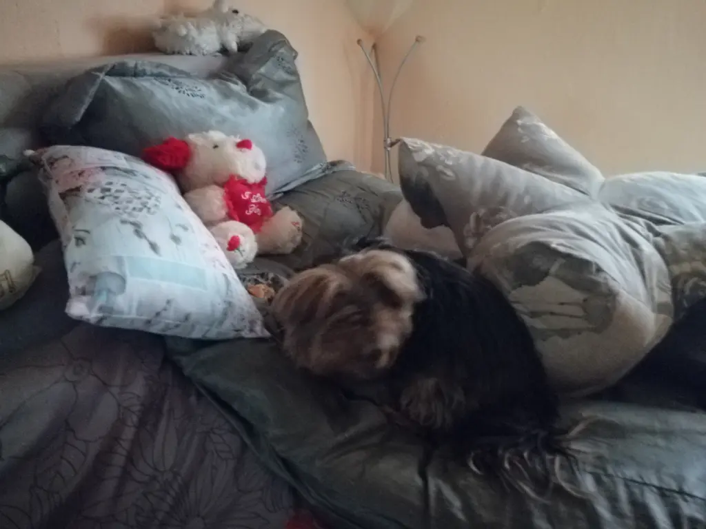 Condolence image of Anke