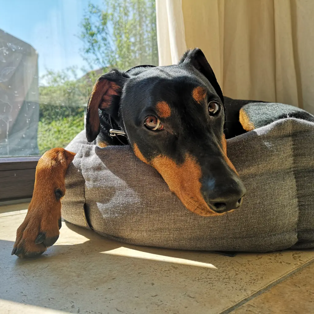 Andachtsbild von Ariane