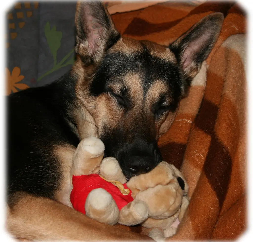 Image from Heddi