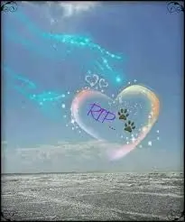 Condolence image of Eva mit Paco im ❤