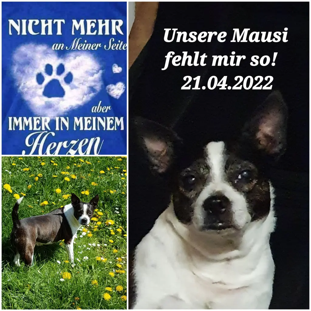 Condolence image of Elke