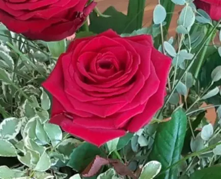 Condolence image of Elke
