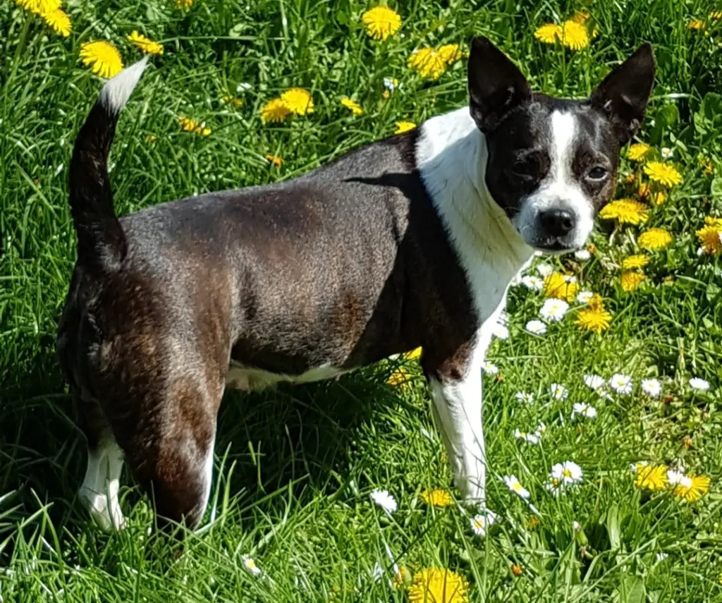 Image from Mausi