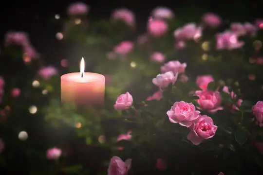Image from Tommy