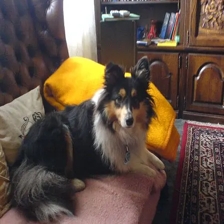Image from Roxy