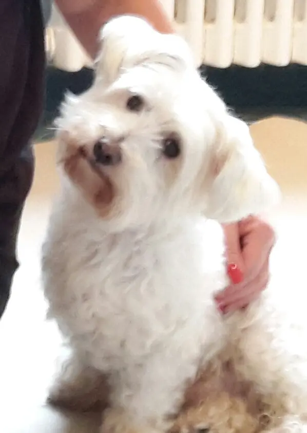 Condolence image of Martina