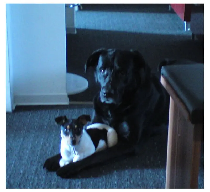 Image from Lucky und Zeus