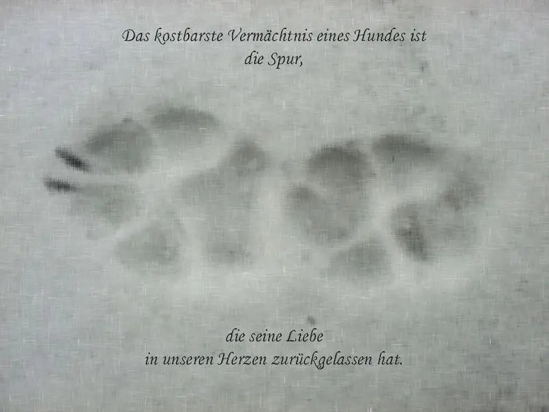 Condolence image of Christoph mit Charlie, gest. 1.7.2022
