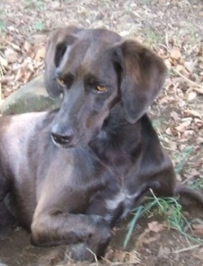 Andachtsbild von Erika