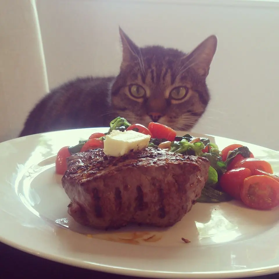 Image from Tigga