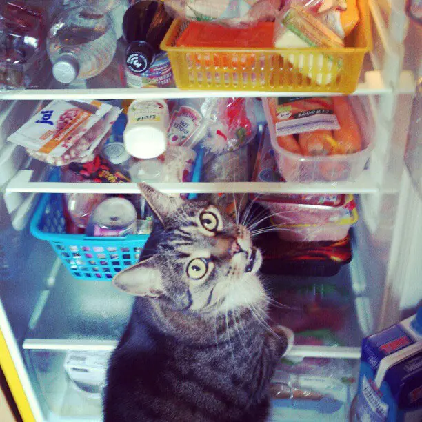 Image from Tigga