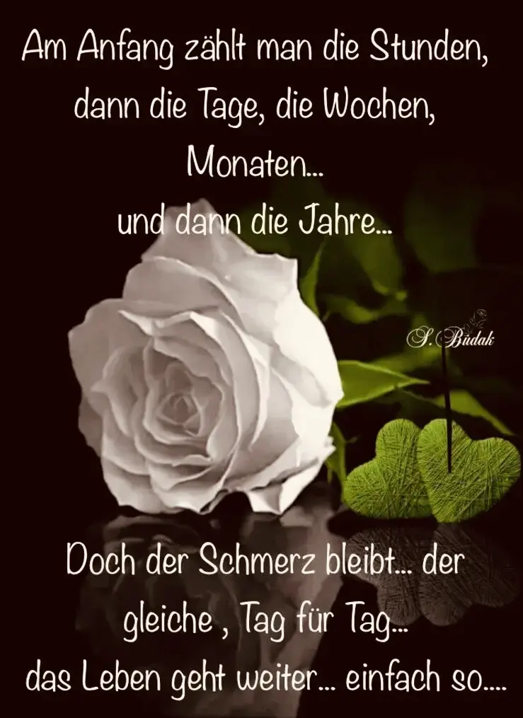Condolence image of Paul mit "Spiky" im Herzen!