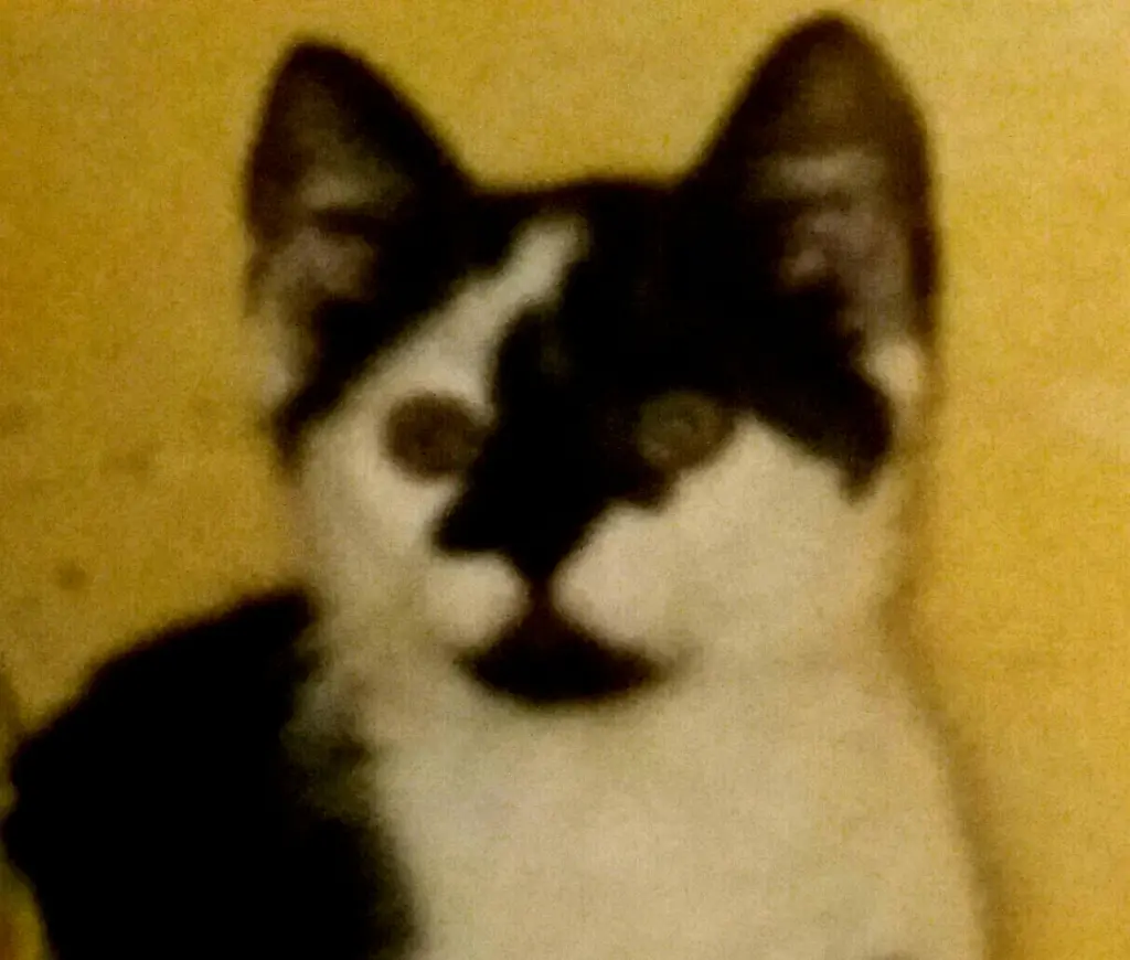 Andachtsbild von Annemarie und Elke mit Snoopy im Herzen gest.04.01.2022