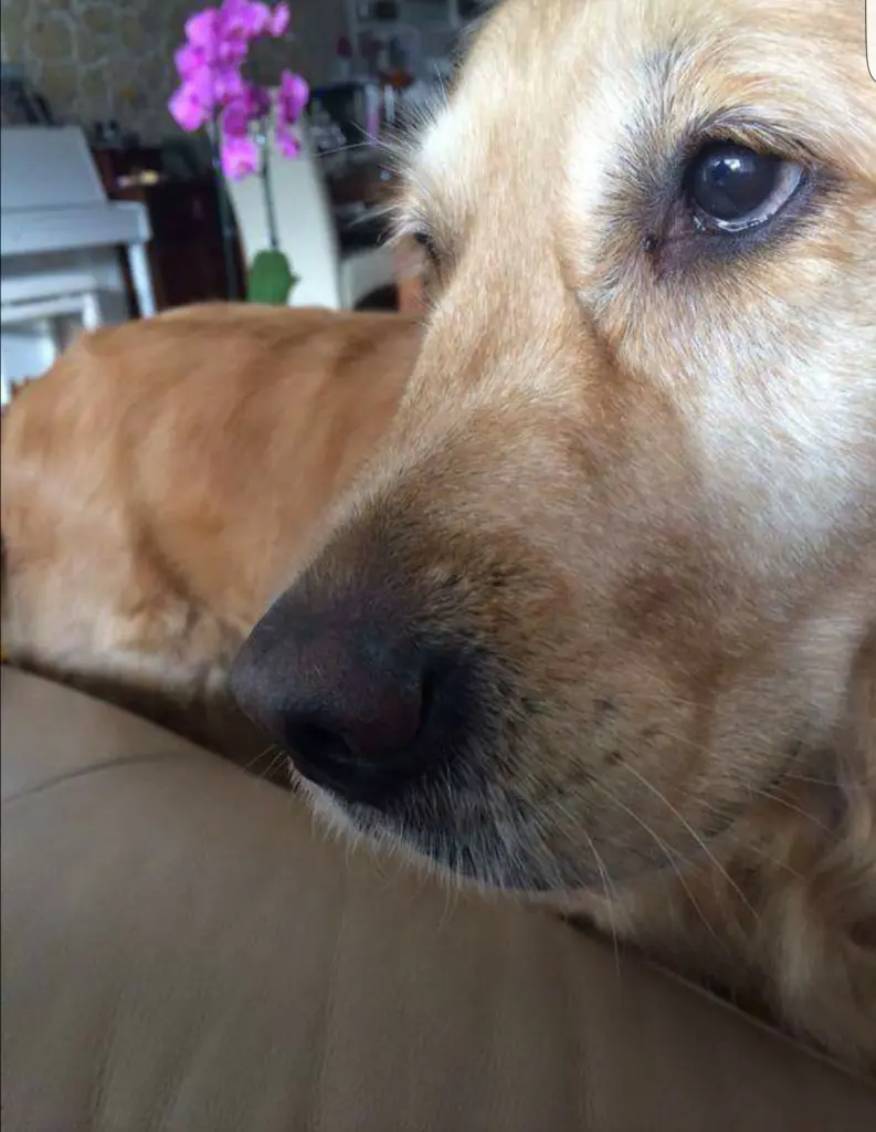 Image from Zacharias