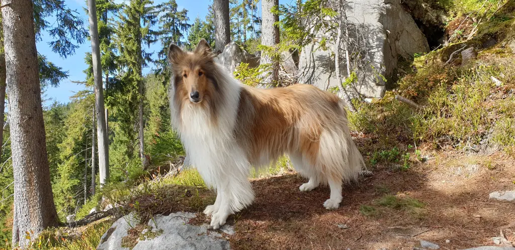 Andachtsbild von Barbara Weilenmann