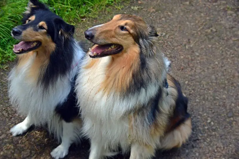 Andachtsbild von Annette und Wilfried