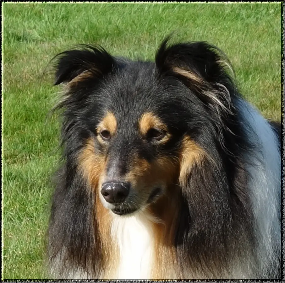Bild von Gorden