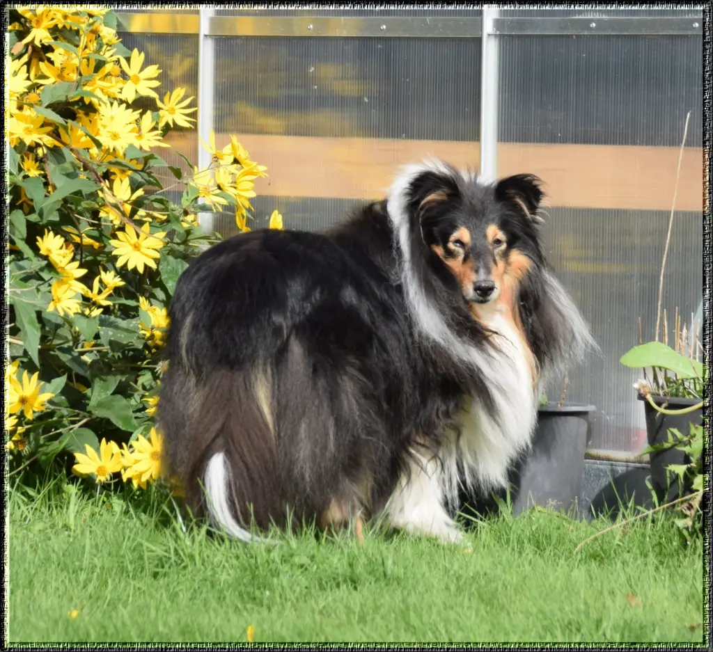 Bild von Gorden