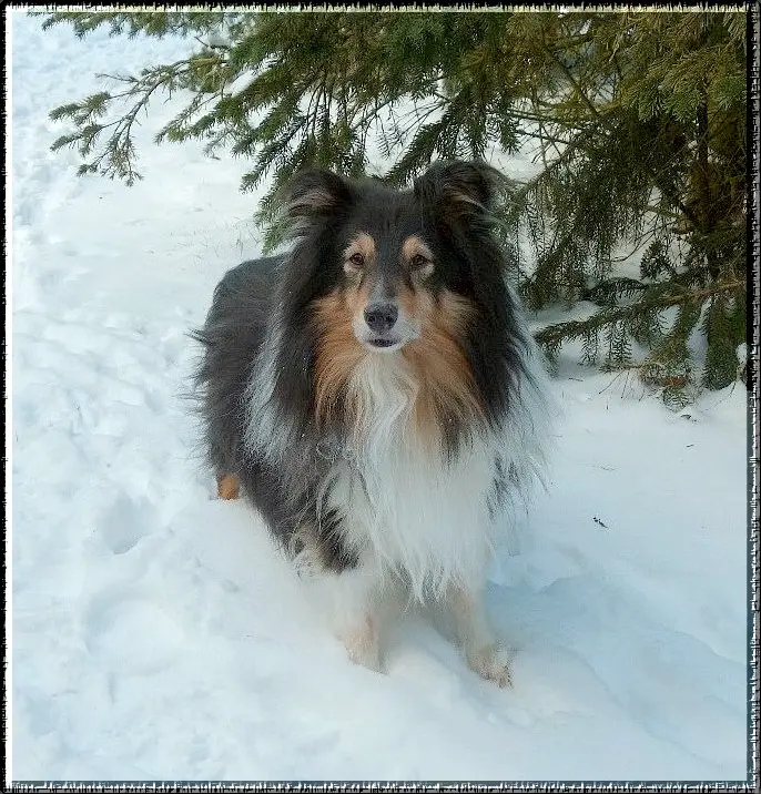 Bild von Gorden