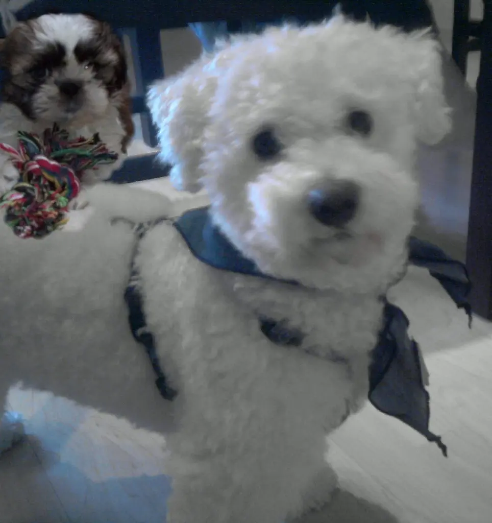 Condolence image of Heidi