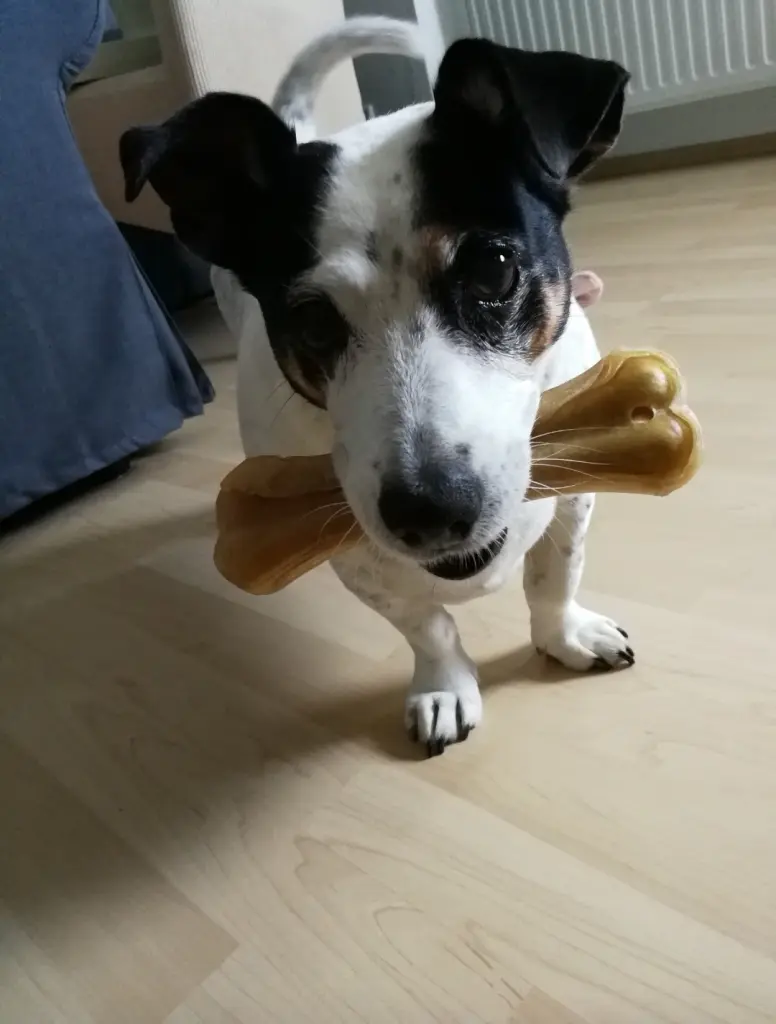 Andachtsbild von Vanessa und Tessi