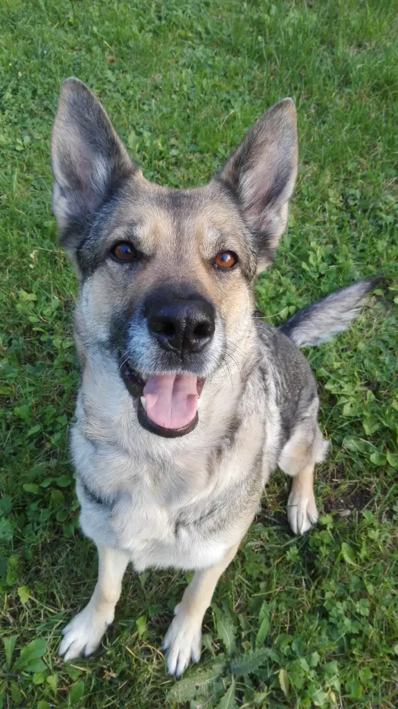 Andachtsbild von Kathrin mit Laila ❤