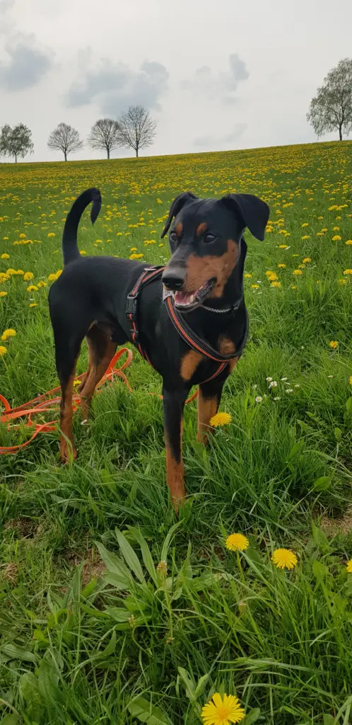 Andachtsbild von Alexandra + Pino