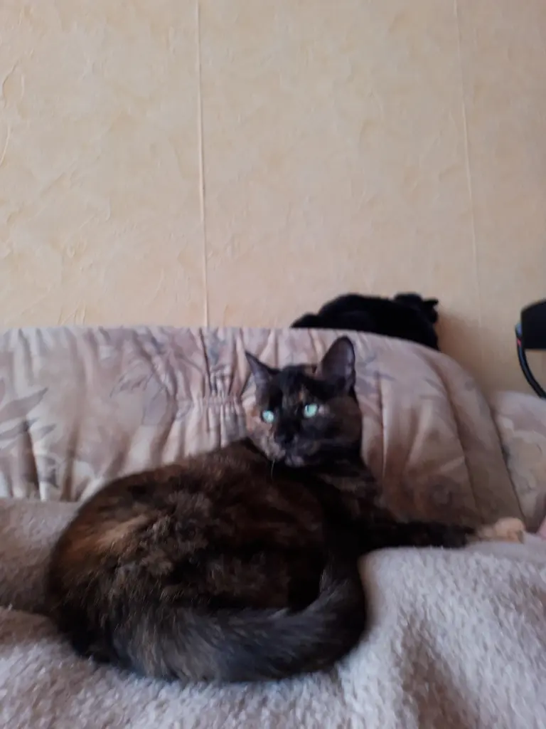 Image from Naddel