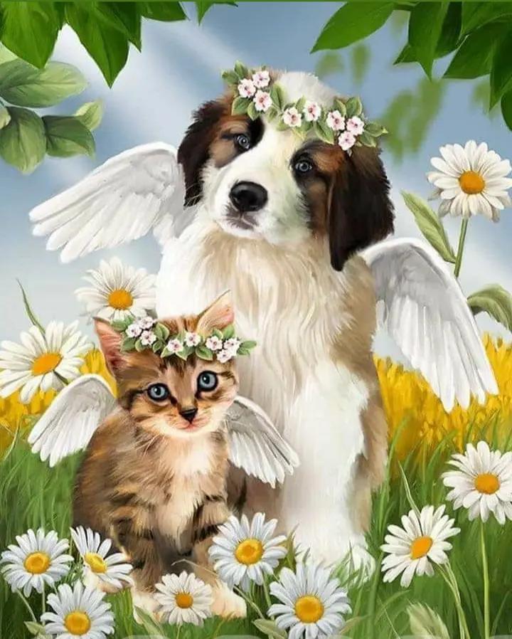 Condolence image of Andrea und Ralf