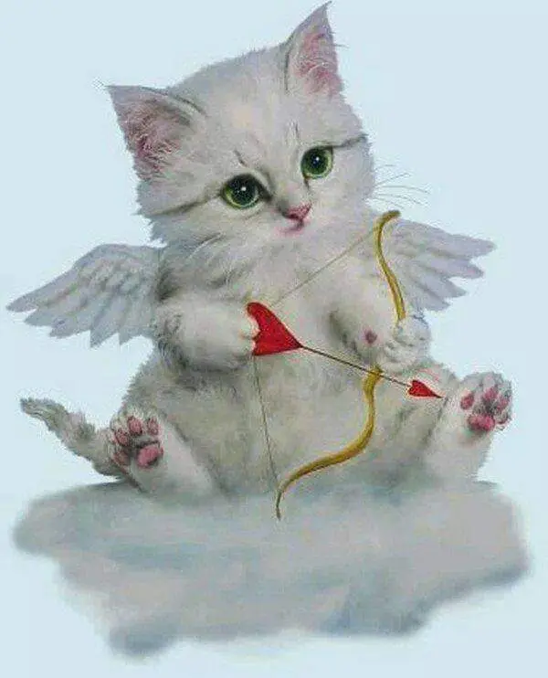 Condolence image of Andrea und Ralf