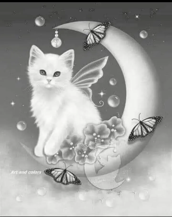 Condolence image of Andrea und Ralf