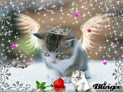 Condolence image of Andrea und Ralf