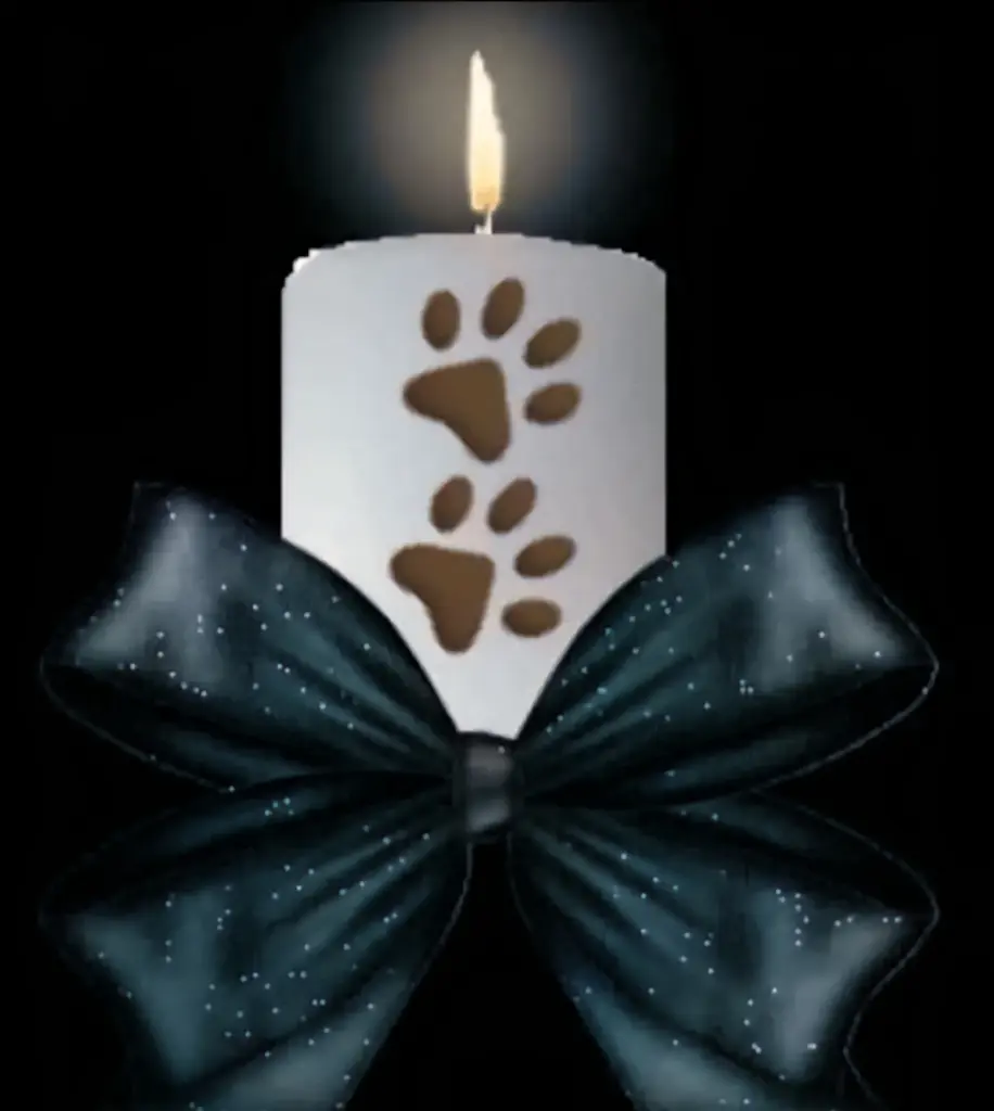 Condolence image of Andrea und Ralf
