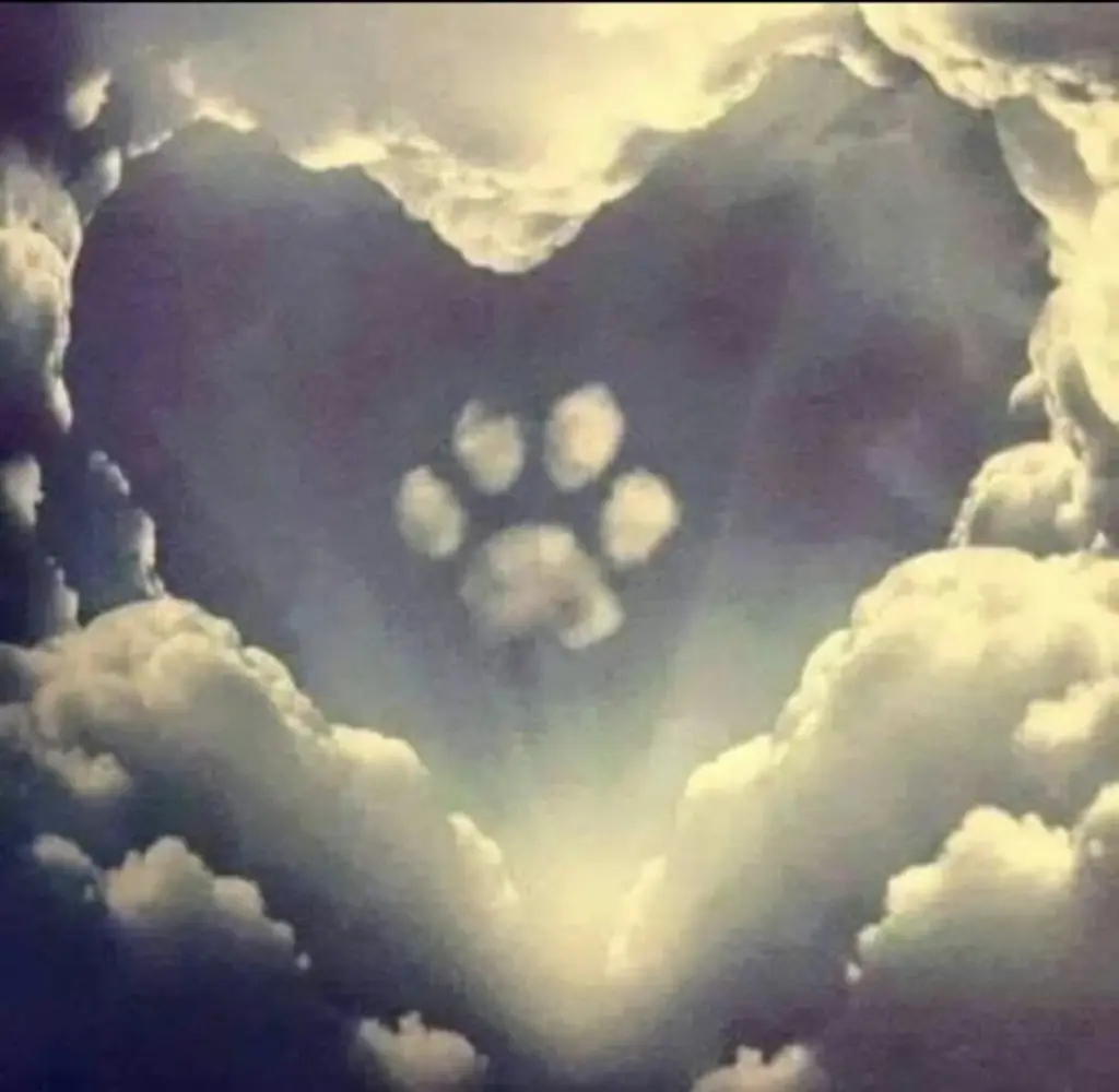 Condolence image of Andrea und Ralf