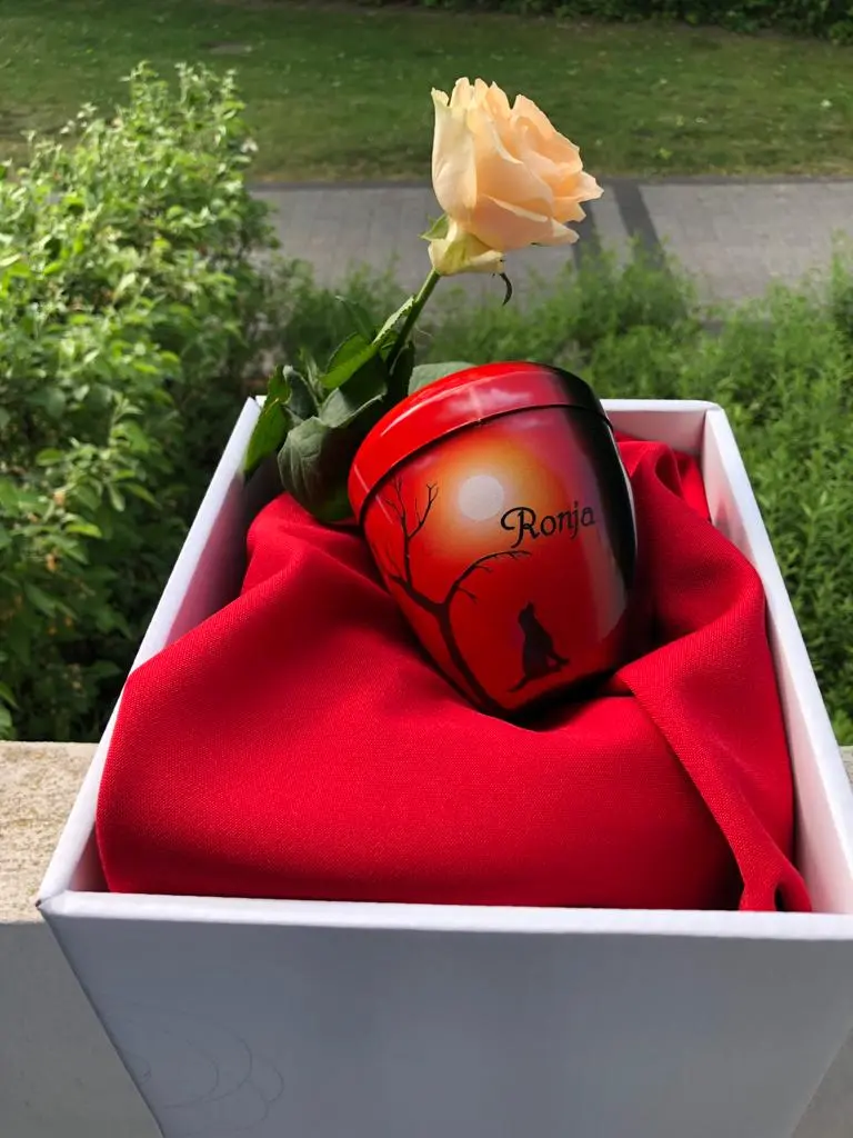 Condolence image of Birgit