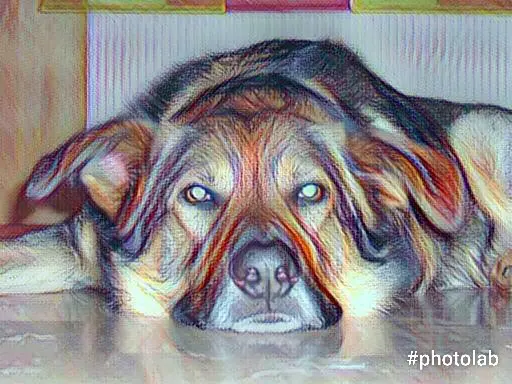 Image from Shadow