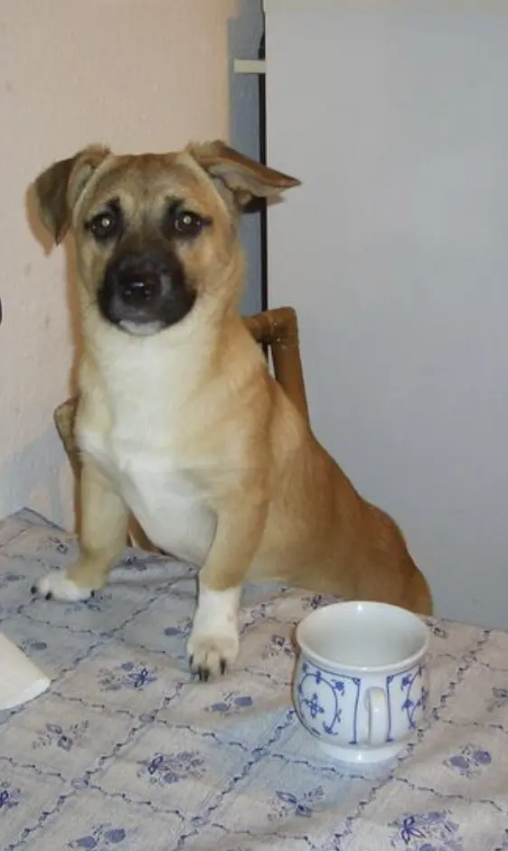 Condolence image of Doro