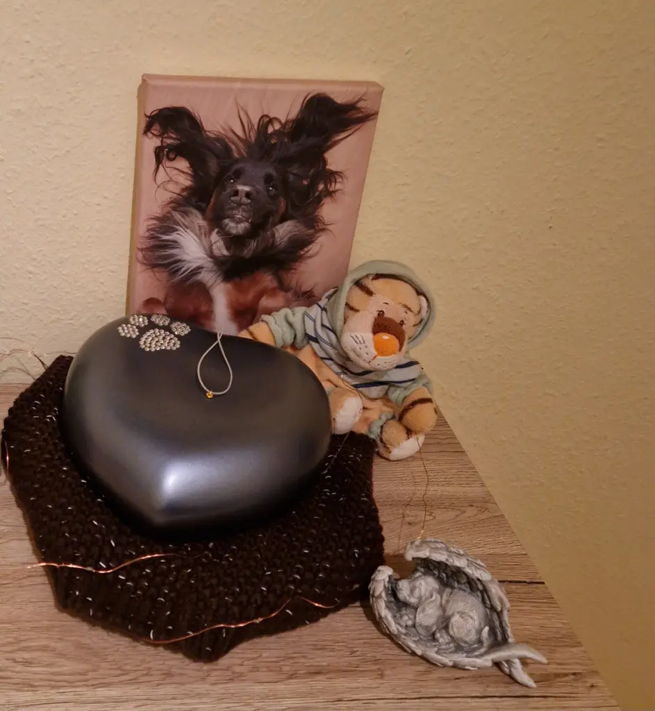 Condolence image of Sandra