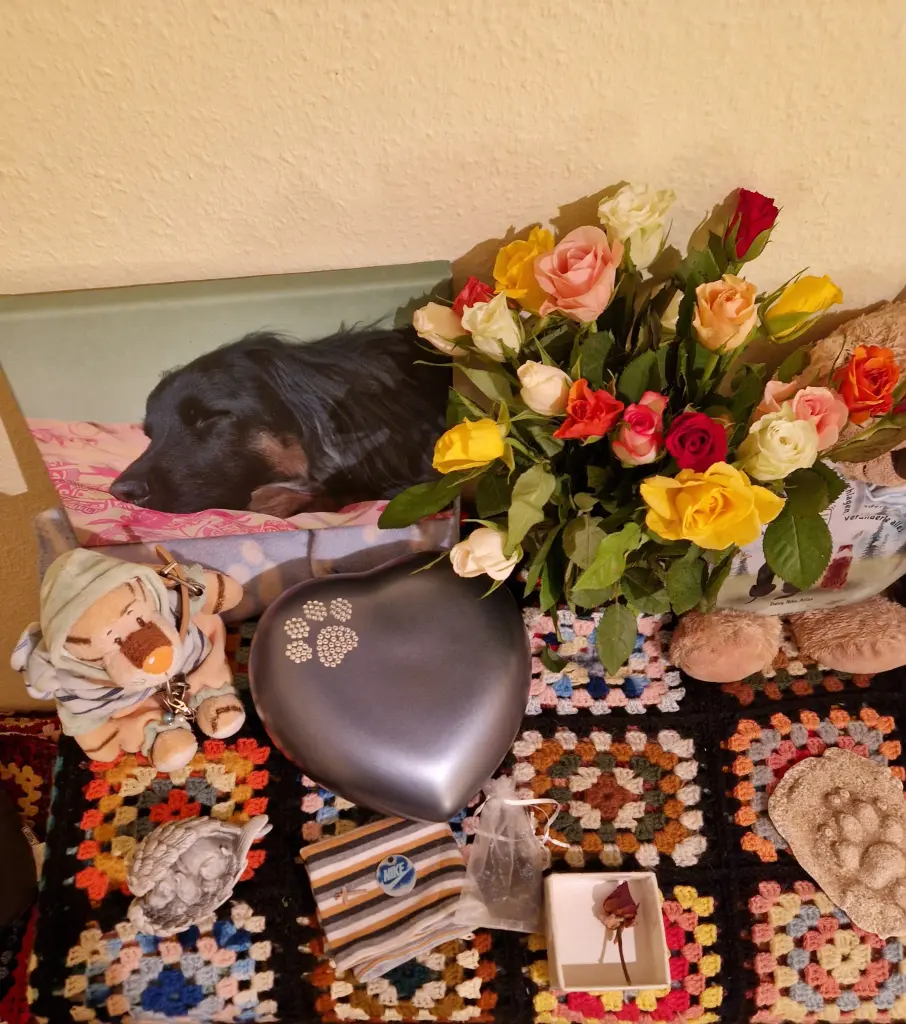 Condolence image of Sandra