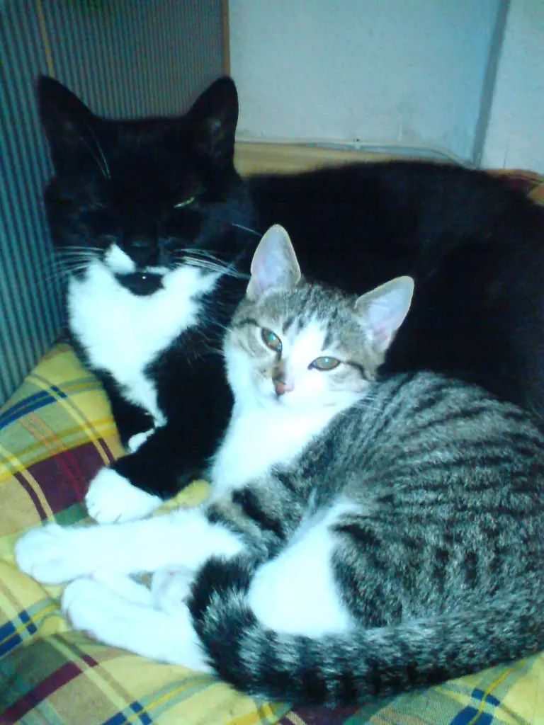 Image from Lucky