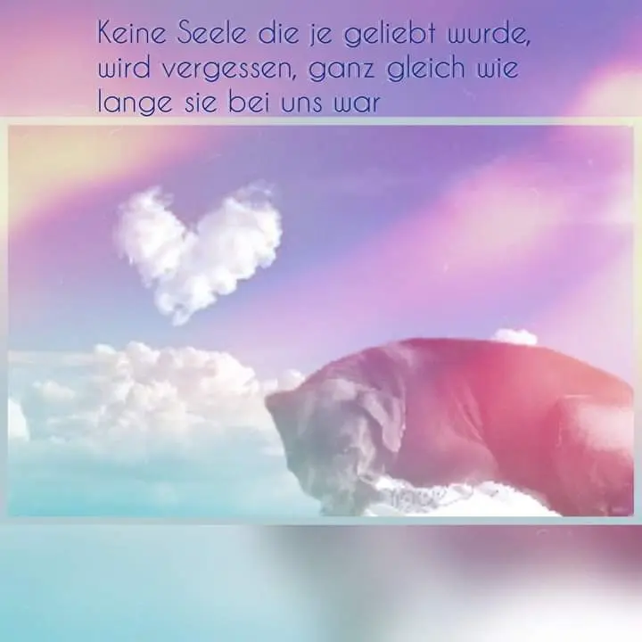 Image from Buck