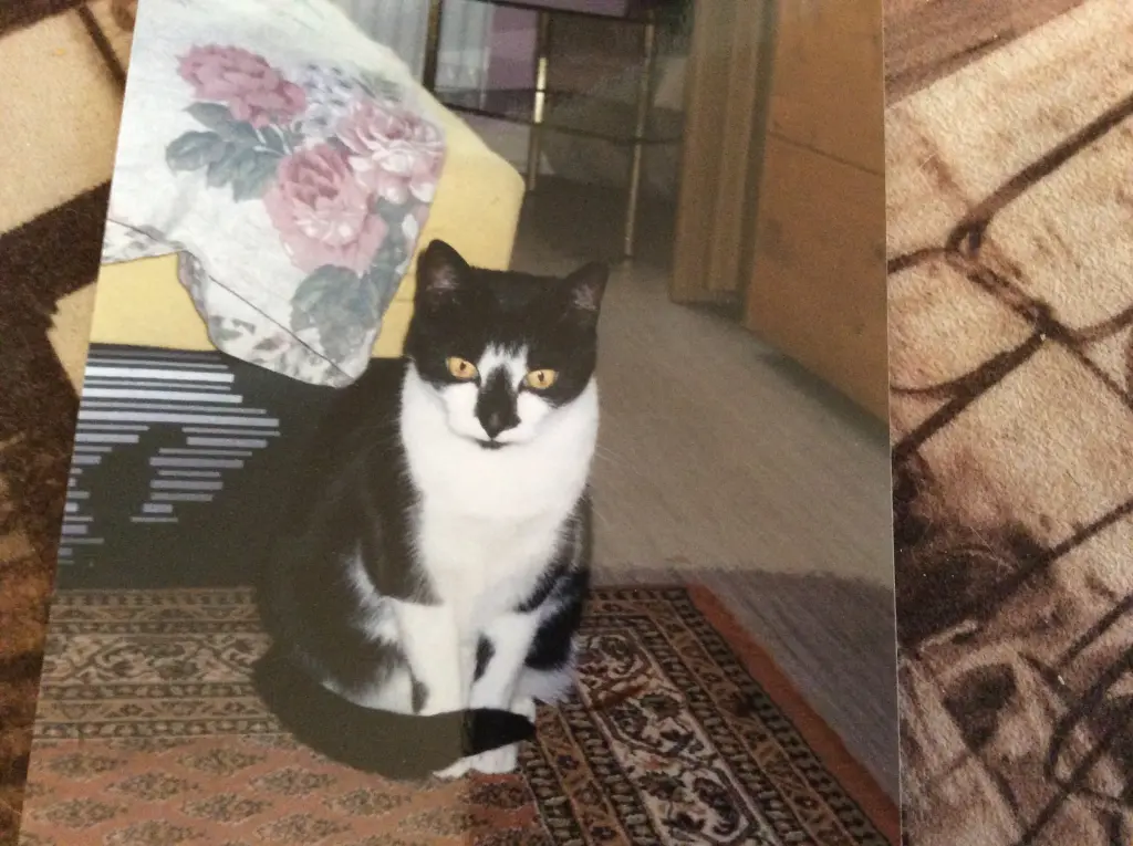 Image from Moni,unsere prinzessin