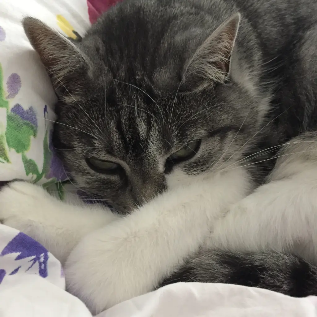 Condolence image of Alexandra