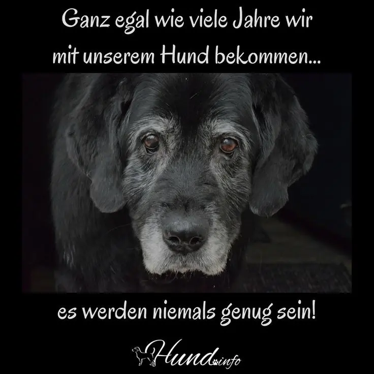 Condolence image of Monika mit Kalle im Herzen