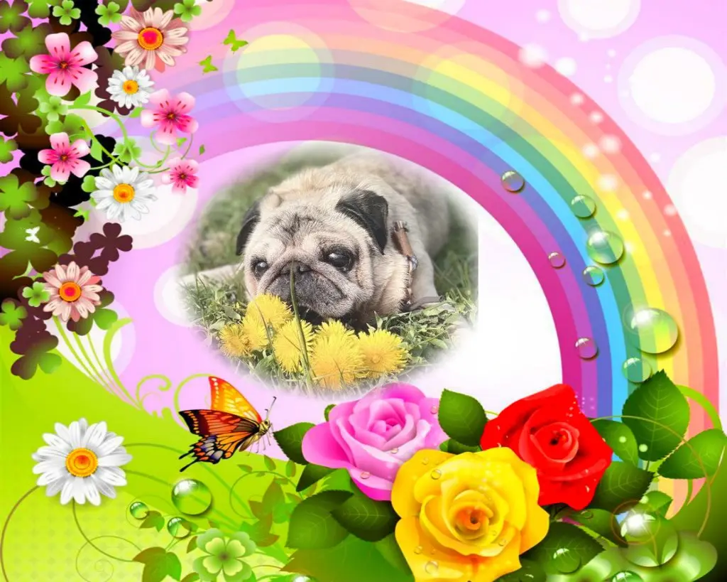 Condolence image of Jutta+Purzel