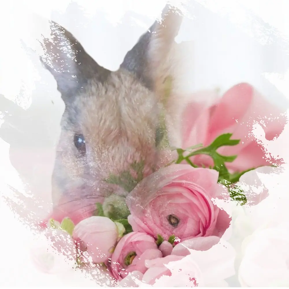 Condolence image of Patricia mit Bunny im ❤ gest. 24.11.2020