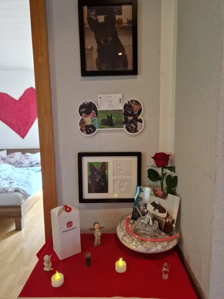 Image from Nicki